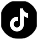 tiktok icon